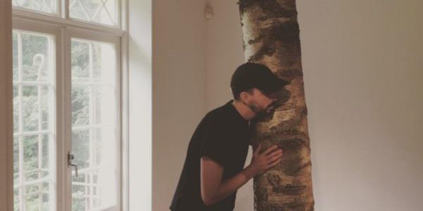 A man listening to the trunk of a birch tree