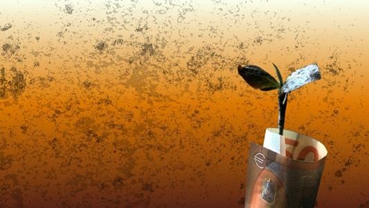 picture of sapling with 50 euro bill wrapped around the stem, against dirty orange background