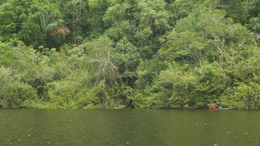 picture of Amazonas river with dense forest on the opposite river bank. Man in small cano in bottom right corner