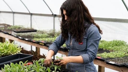 picture of woman with overalls farming in greenhouse